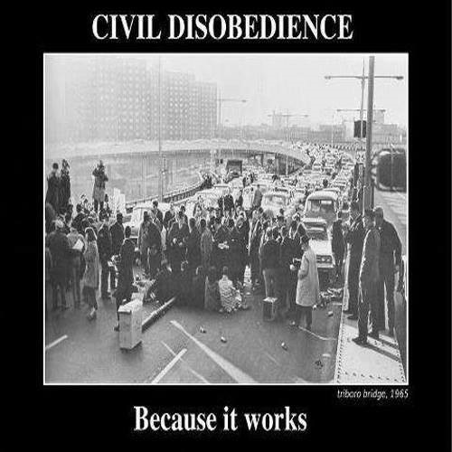 DIRECT ACTION COS IT WORKS?